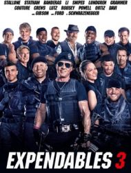DVD Expendables 3