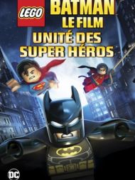 DVD LEGO Batman: Le Film - Unité Des Super Héros (2013)