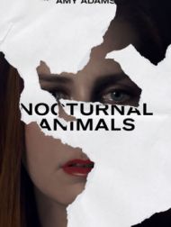 DVD Nocturnal Animals