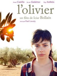 DVD L'olivier