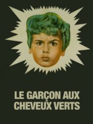 DVD Le Garçon Aux Cheveux Verts