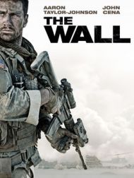DVD The Wall