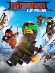 DVD LEGO Ninjago Le Film (The LEGO Ninjago Movie)