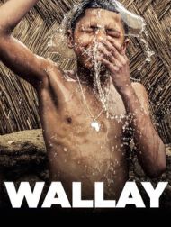 DVD Wallay