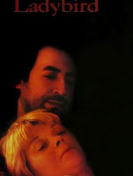DVD Ladybird