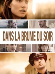 DVD Dans La Brume Du Soir