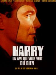 DVD Harry, Un Ami Qui Vous Veut Du Bien