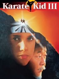 DVD Karate Kid III