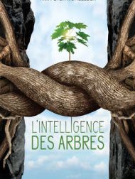 DVD L'intelligence Des Arbres