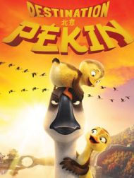 DVD Destination Pékin