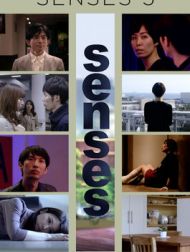 DVD Senses 5