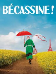 DVD Bécassine !