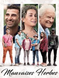 DVD Mauvaises Herbes