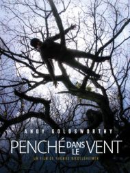 DVD Penché Dans Le Vent