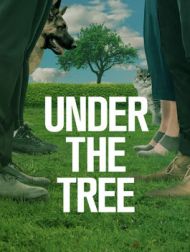 DVD Under The Tree (2017)
