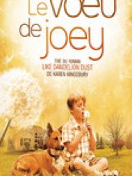 DVD Le vœu de Joey