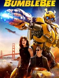 DVD Bumblebee