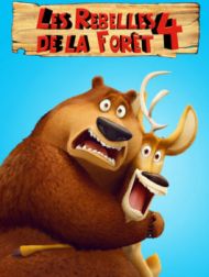 DVD Les Rebelles De La Forêt 4