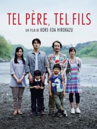 DVD Tel Père, Tel Fils (VOST)