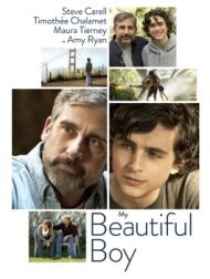 DVD My Beautiful Boy