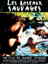 DVD Les Roseaux Sauvages