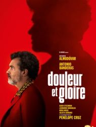 DVD Douleur Et Gloire