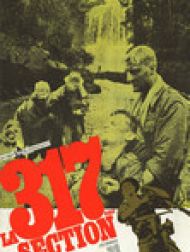 DVD La 317ème Section