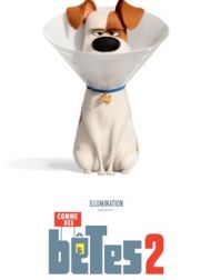 DVD Comme Des Bêtes 2