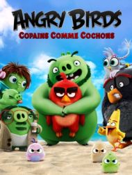 DVD Angry Birds : Copains Comme Cochons