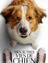 DVD Mes Autres Vies De Chien