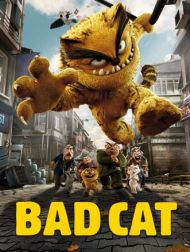 DVD Bad Cat