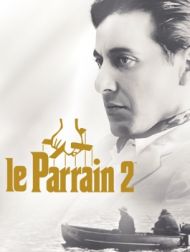 DVD Le Parrain 2