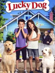 DVD Lucky Dog