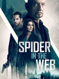 DVD Spider In The Web