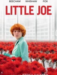 DVD Little Joe