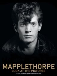 DVD Mapplethorpe Look At The Pictures