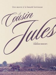 DVD Le Cousin Jules