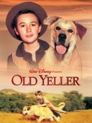 DVD Old Yeller