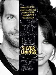 DVD Silver Linings Playbook