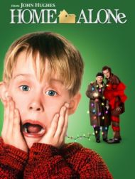 DVD Home Alone