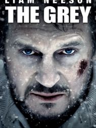 DVD The Grey