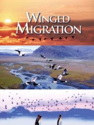 DVD Winged Migration