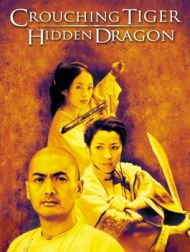 DVD Crouching Tiger, Hidden Dragon