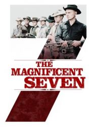 DVD The Magnificent Seven