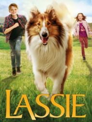 DVD Lassie, La Route De L'aventure