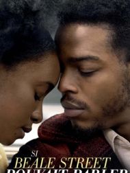DVD Si Beale Street Pouvait Parler