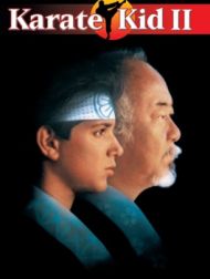 DVD Karate Kid II