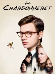 DVD Le Chardonneret