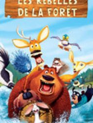 DVD Les Rebelles De La Foret (International)