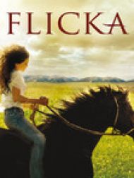 DVD Flicka